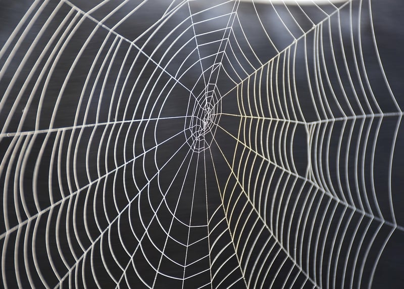 Gossamer Whispers